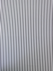 Load image into Gallery viewer, 1/4" Ivory & 1/8" Black Vertical Stripe Nylon Spandex Tricot | Designer Deadstock
