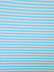 Load image into Gallery viewer, Sky Blue & White Horizontal 1/8" Stripe Nylon Spandex Tricot | Designer Deadstock
