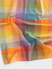 Load image into Gallery viewer, Happy Checker in Bold | Lumiére Wide Width | Fableism Supply Co