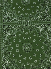 Load image into Gallery viewer, Bandana on Kelp Swim Tricot | Italian Designer Deadstock | By The Half Yard