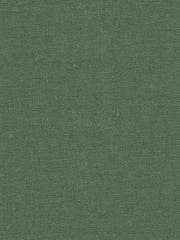 Load image into Gallery viewer, Kelp | Brussels Washer Linen | Robert Kaufman