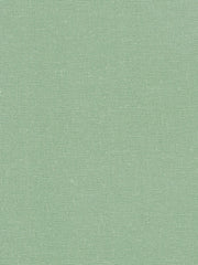 Load image into Gallery viewer, Eucalyptus | Brussels Washer Linen | Robert Kaufman