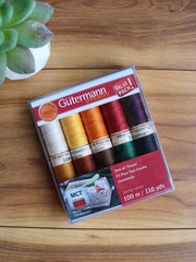 Load image into Gallery viewer, Fall Sew All Polyester Thread 10 Spool Set