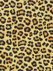 Load image into Gallery viewer, 1YD 28IN REMNANT; Wild | Mandalay Performance Knits | Robert Kaufman