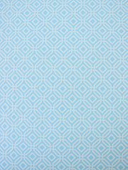 Load image into Gallery viewer, Intertwined on Sky Blue Nylon Spandex Tricot | Designer Deadstock
