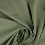 Load image into Gallery viewer, Sage  Viscose Nylon Ponte
