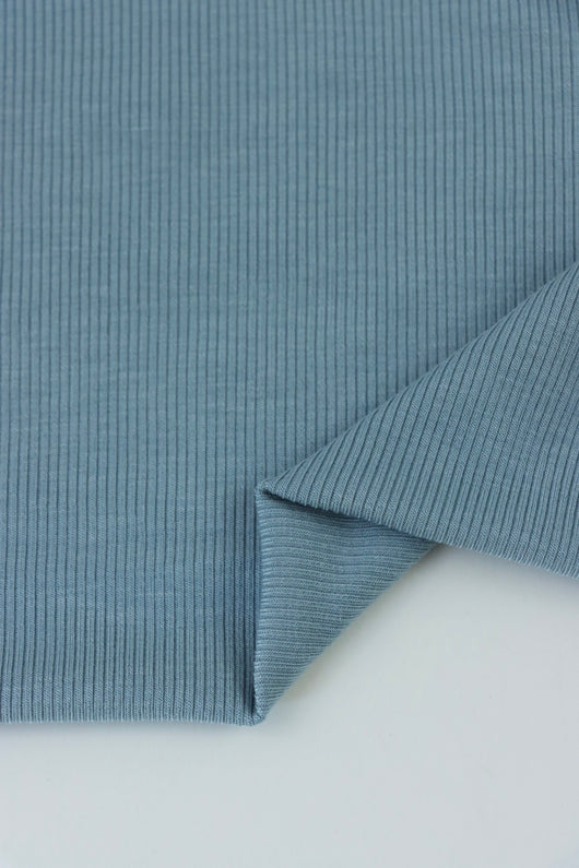 Chambray 2x2 Tencel Spandex Rib Knit