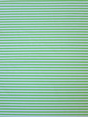 Load image into Gallery viewer, Spring Green &amp; White Horizontal 1/8&quot; Stripe Nylon Spandex Tricot | Designer Deadstock
