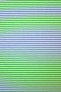 Spring Green & White Horizontal 1/8" Stripe Nylon Spandex Tricot | Designer Deadstock