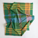 Load image into Gallery viewer, House Dress in Academia | Lumiére Wide Width | Fableism Supply Co

