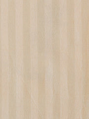 Load image into Gallery viewer, Mirage | Sun Stripes | Fableism Supply Co