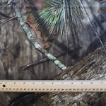 Load image into Gallery viewer, 2YD 4IN REMNANT; Break-Up Country Camo Athletic Fleece
