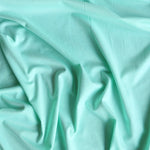 Load image into Gallery viewer, Mint Double Brushed Poly
