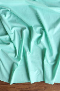 Mint Double Brushed Poly