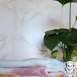 Load image into Gallery viewer, Powder &amp; Blue Tie Dye Yummy Rib Knit
