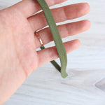 Load image into Gallery viewer, 3/8" Flat Cotton Twill Cording
