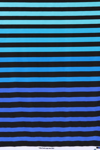 Aqua/Lt Blue/Med Blue/Dk Blue K-Deer Signature Stripe Athletic Nylon/Spandex