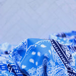 Load image into Gallery viewer, &#39;Imagine&#39; K-Deer Athletic Nylon/Spandex Tricot
