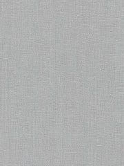 Load image into Gallery viewer, Fog | Brussels Washer Linen | Robert Kaufman