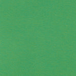 Load image into Gallery viewer, Fern Green Dana Cotton Modal Jersey Knit | Robert Kaufman
