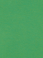 Load image into Gallery viewer, Fern Green Dana Cotton Modal Jersey Knit | Robert Kaufman